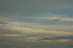Dcim1903/DSC_0155