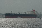 Dcim1904/DSC_6903
