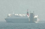 Dcim1911/DSC_0830