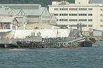 Dcim1911/DSC_0913