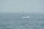 Dcim1916/DSC_7294