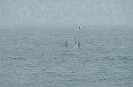 Dcim1916/DSC_7315