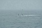Dcim1916/DSC_7317