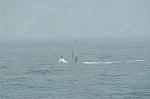 Dcim1916/DSC_7318