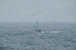 Dcim1916/DSC_7337