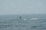 Dcim1916/DSC_7354