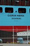Dcim1920/DSC_7549