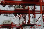 Dcim1920/DSC_7564