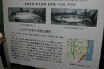 Dcim1939/DSC_2693