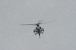 Dcim1948/DSC_8608