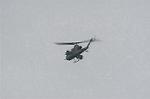 Dcim1948/DSC_8659