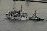 Dcim1950/DSC_8702