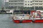 Dcim1952/DSC_3465