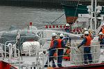 Dcim1953/DSC_3525