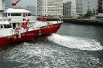Dcim1957/DSC_8844