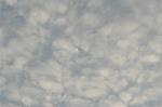 Dcim1961/DSC_9066