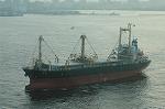 Dcim1982/DSC_5416