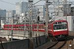 Dcim1987/DSC_0250