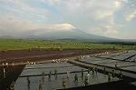 Dcim2015/DSC_7591
