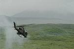 Dcim2029/DSC_1966