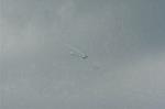 Dcim2038/DSC_2742