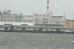 Dcim2052/DSC_9295