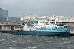 Dcim2053/DSC_9459