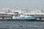 Dcim2054/DSC_9491