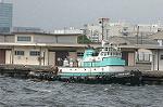 Dcim2054/DSC_9528