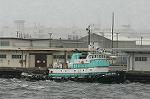 Dcim2055/DSC_9573