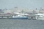 Dcim2058/DSC_3356