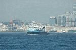 Dcim2062/DSC_9880