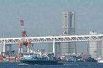 Dcim2066/DSC_3662