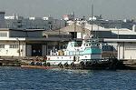Dcim2069/DSC_4005