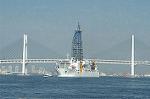 Dcim2079/DSC_4239