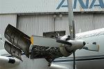 Dcim2082/DSC_4306