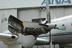 Dcim2082/DSC_4309
