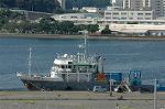 Dcim2083/DSC_1303