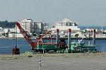 Dcim2083/DSC_1305