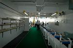 Dcim2084/DSC_1365