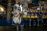 Dcim2097/DSC_2542