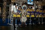 Dcim2097/DSC_2544