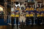 Dcim2097/DSC_2552