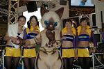 Dcim2097/DSC_2554