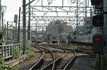 Dcim2107/DSC_3336