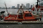 Dcim2116/DSC_5283