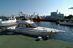 Dcim2137/DSC_5605