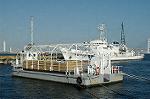 Dcim2137/DSC_5644