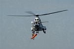Dcim2137/DSC_5696