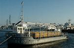 Dcim2139/DSC_5877